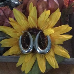 Hoop Earrings Extra Large Stainless Silver